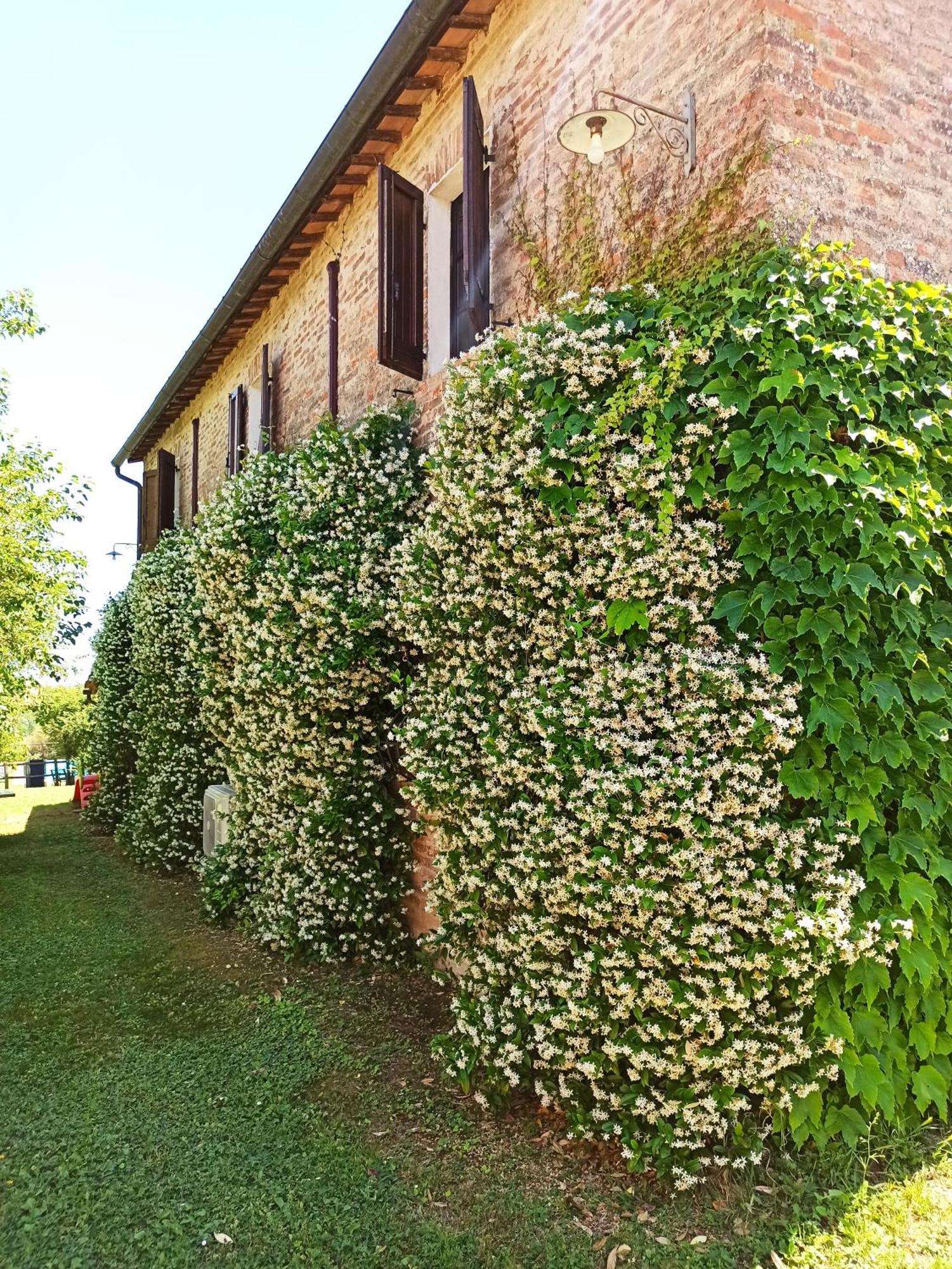Villa Podere Cartaio Bio Estate Pool Airc San Rocco a Pilli Zewnętrze zdjęcie