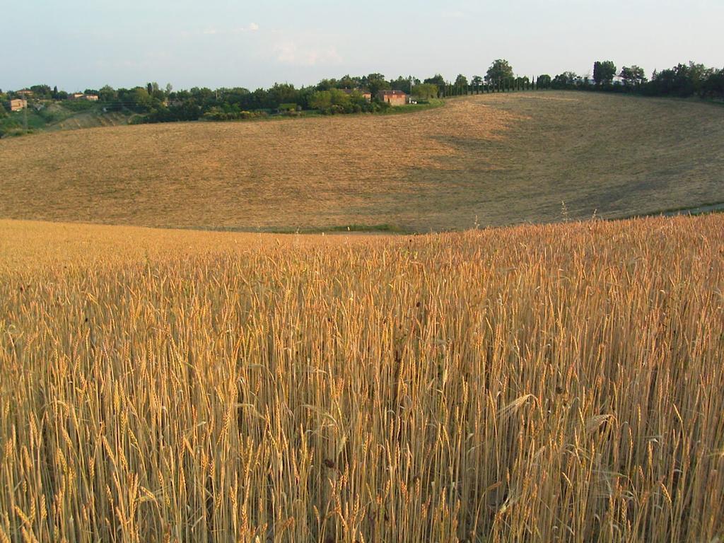 Villa Podere Cartaio Bio Estate Pool Airc San Rocco a Pilli Pokój zdjęcie